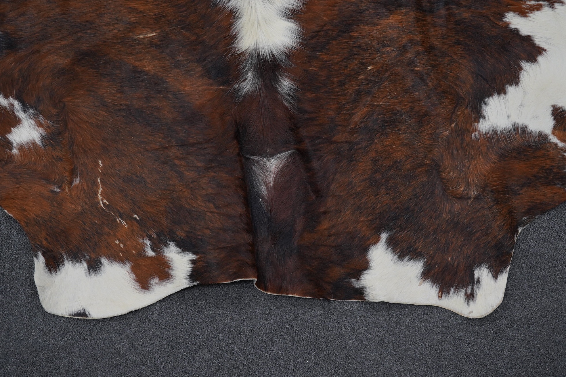 A brown and cream cowhide rug. Condition - fair, as per the images